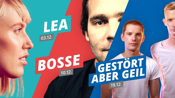 Collage Radiokonzerte | Lea | Bosse | Gestört Aber Geil
